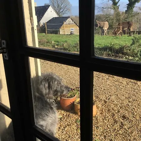 Normandy Farmhouse